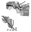 Versa.webp